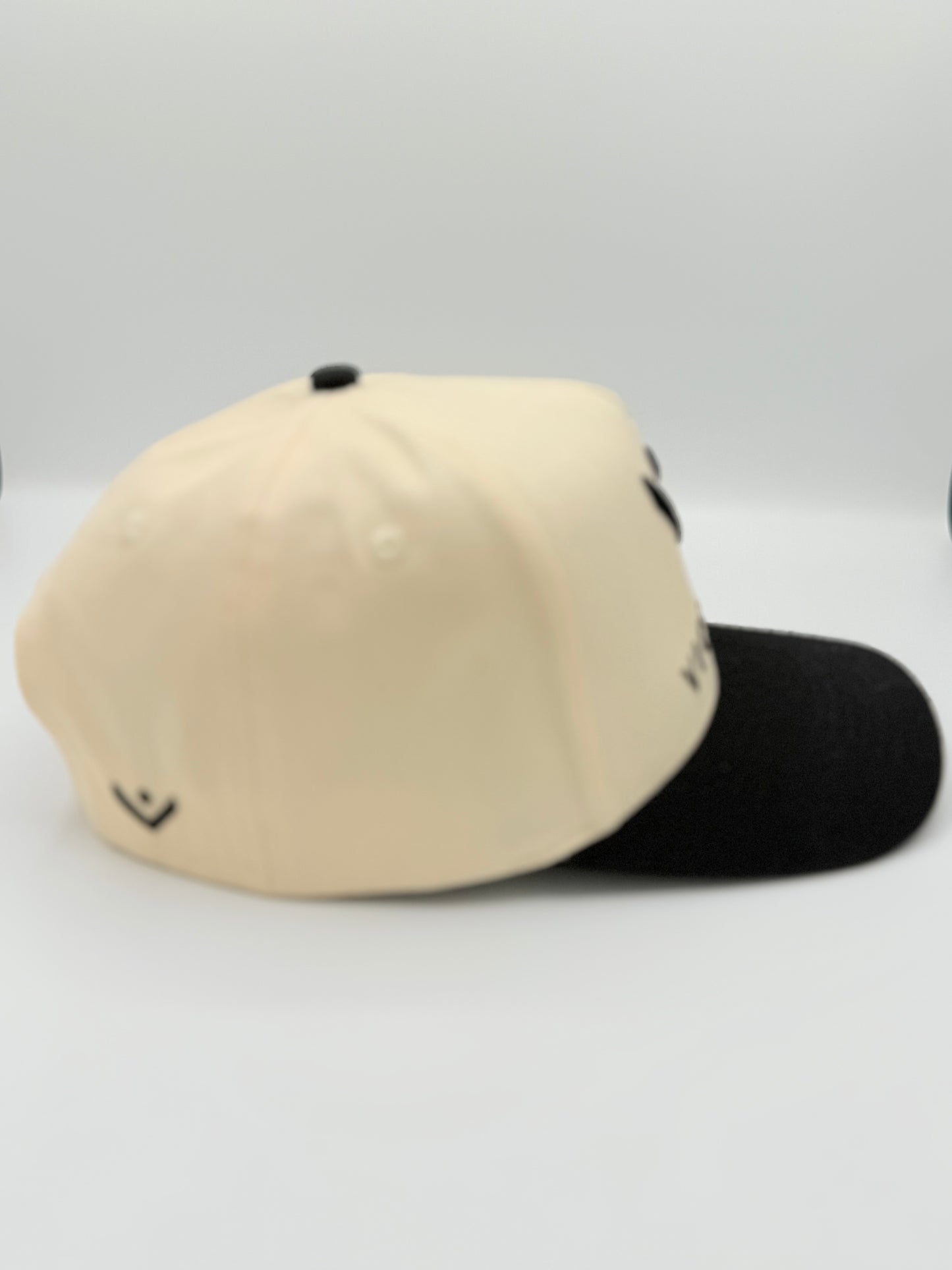 Beige & Black Cap