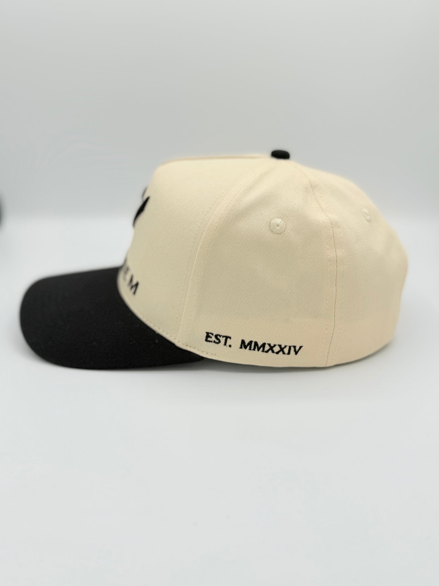 Beige & Black Cap