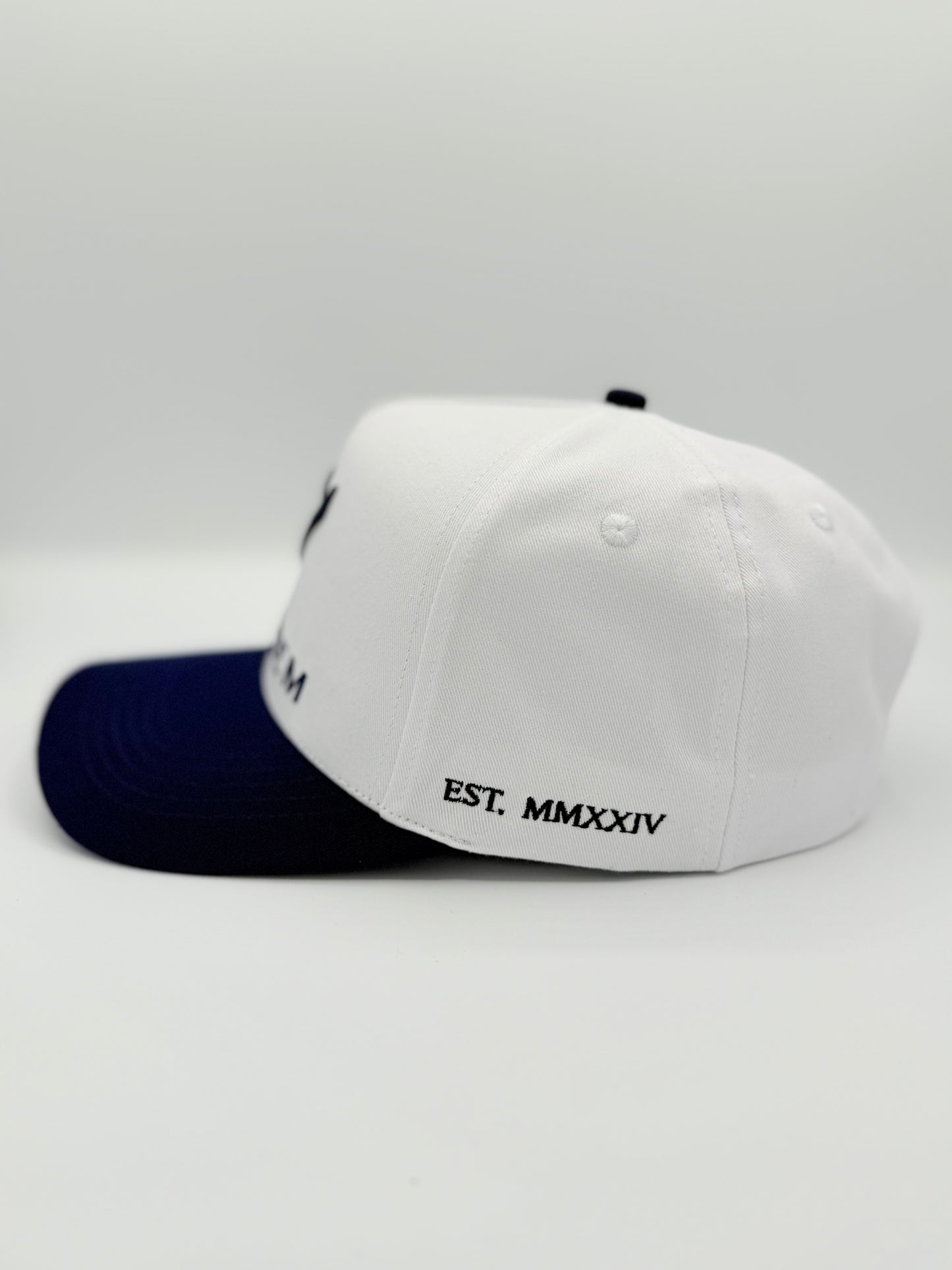 White & Navy Cap